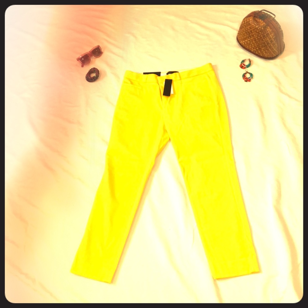 Banana Republic Sloan Pants size 10,NWT